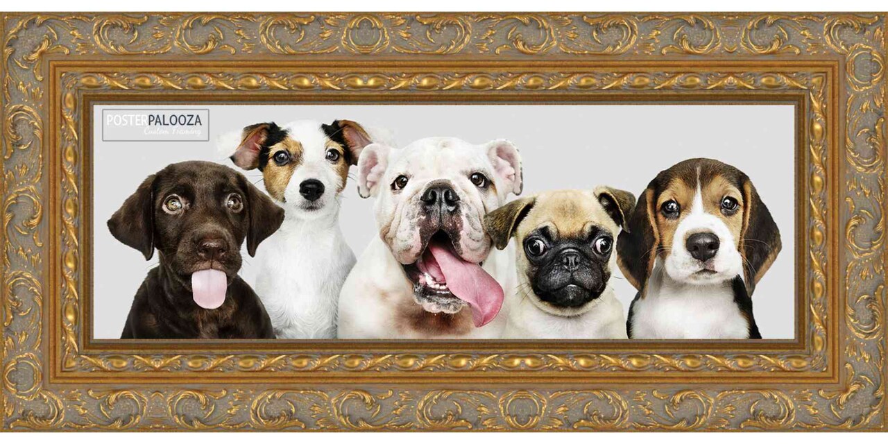 Panoramic Contemporary Gold Picture Frame - UV Acrylic, Foam Board Backing, Hanging Hardware